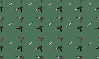 Farklı aksesuarlara sahip renkli arkaplan