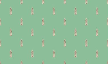 Farklı aksesuarlara sahip renkli arkaplan