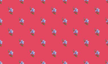 Farklı aksesuarlara sahip renkli arkaplan