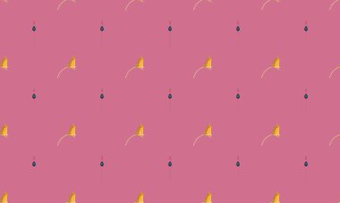 Farklı aksesuarlara sahip renkli arkaplan