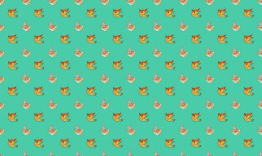 Farklı aksesuarlara sahip renkli arkaplan