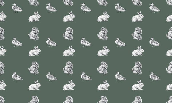 Цветной фон с различными аксессуарами