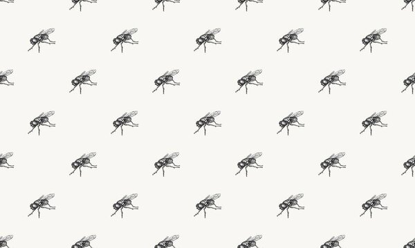 Цветной фон с различными аксессуарами