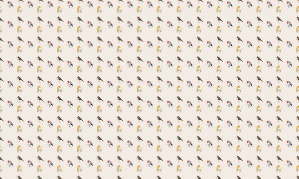 Colored background with different accessories