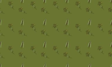 Farklı aksesuarlara sahip renkli arkaplan