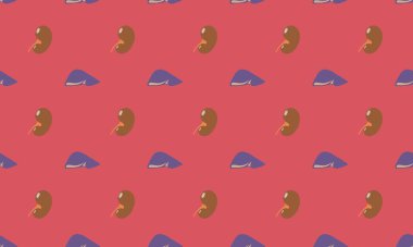 Farklı aksesuarlara sahip renkli arkaplan