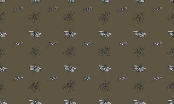 Цветной фон с различными аксессуарами