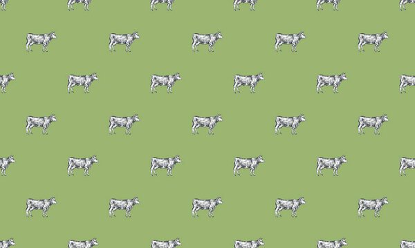 Colored background with different accessories