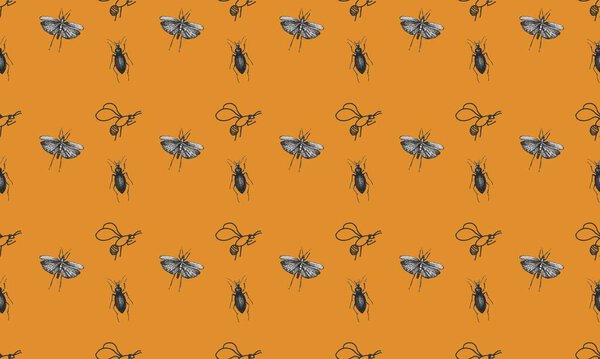 Цветной фон с различными аксессуарами