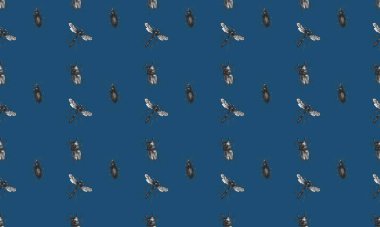 Farklı aksesuarlara sahip renkli arkaplan