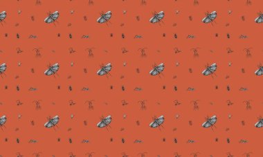 Farklı aksesuarlara sahip renkli arkaplan