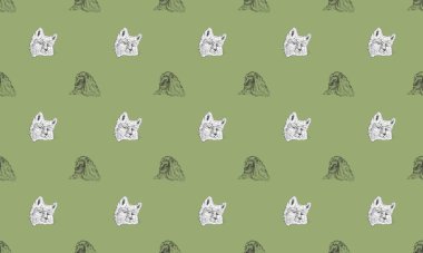 Farklı aksesuarlara sahip renkli arkaplan