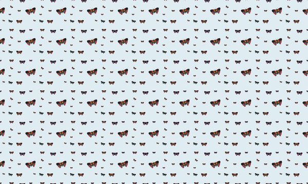 Colored background with different accessories