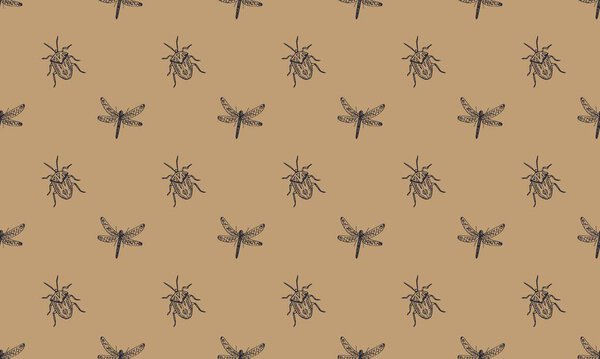 Цветной фон с различными аксессуарами