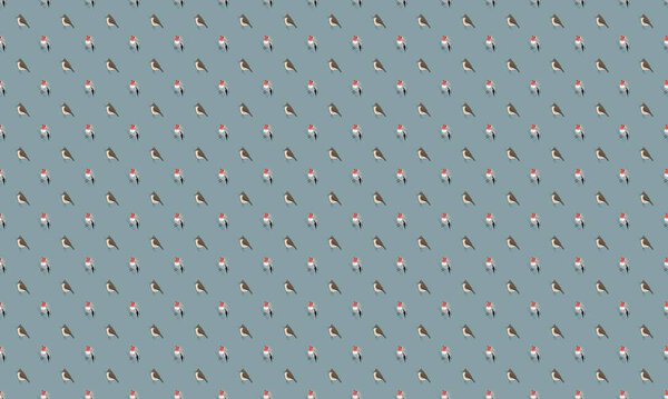 Цветной фон с различными аксессуарами