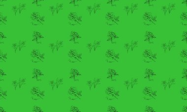 Farklı aksesuarlara sahip renkli arkaplan