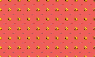 Farklı aksesuarlara sahip renkli arkaplan