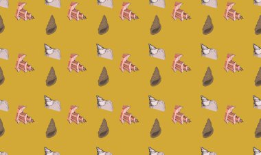 Farklı aksesuarlara sahip renkli arkaplan