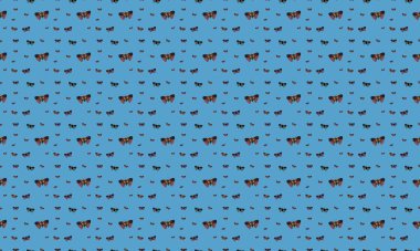 Farklı aksesuarlara sahip renkli arkaplan