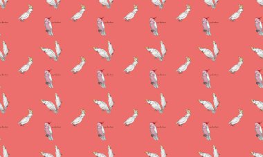 Farklı aksesuarlara sahip renkli arkaplan