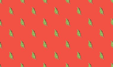 Farklı aksesuarlara sahip renkli arkaplan