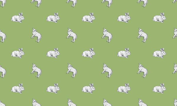 Colored background with different accessories