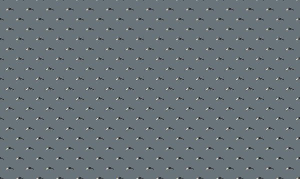 Colored background with different accessories