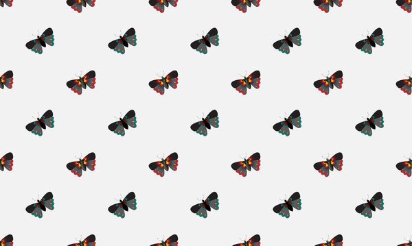 Цветной фон с различными аксессуарами