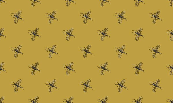 Цветной фон с различными аксессуарами