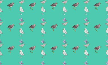 Farklı aksesuarlara sahip renkli arkaplan