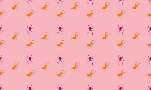 Colored background with different accessories