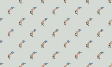 Farklı aksesuarlara sahip renkli arkaplan