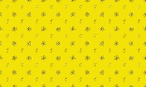 Цветной фон с различными аксессуарами