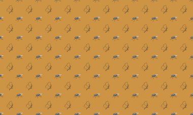 Farklı aksesuarlara sahip renkli arkaplan