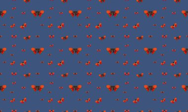 Farklı aksesuarlara sahip renkli arkaplan