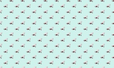 Farklı aksesuarlara sahip renkli arkaplan