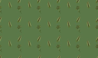 Farklı aksesuarlara sahip renkli arkaplan