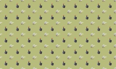 Farklı aksesuarlara sahip renkli arkaplan