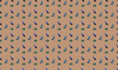 Farklı aksesuarlara sahip renkli arkaplan