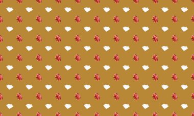 Farklı aksesuarlara sahip renkli arkaplan