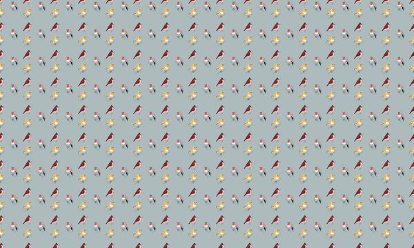 Цветной фон с различными аксессуарами