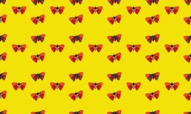 Farklı aksesuarlara sahip renkli arkaplan