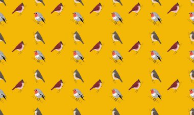 Farklı aksesuarlara sahip renkli arkaplan