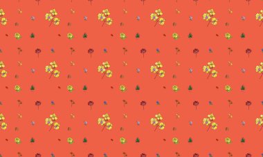 Farklı aksesuarlara sahip renkli arkaplan