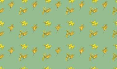 Farklı aksesuarlara sahip renkli arkaplan