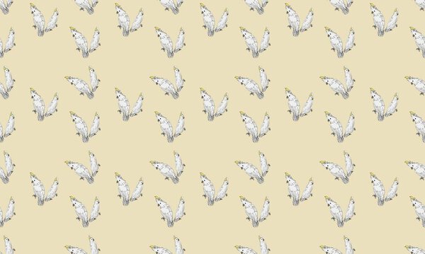 Цветной фон с различными аксессуарами