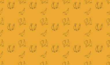 Farklı aksesuarlara sahip renkli arkaplan