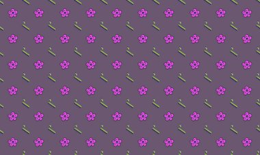 Farklı aksesuarlara sahip renkli arkaplan