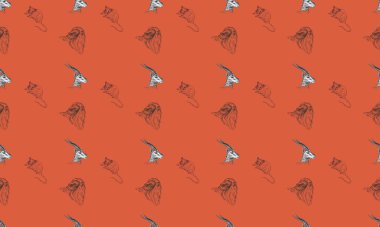 Farklı aksesuarlara sahip renkli arkaplan