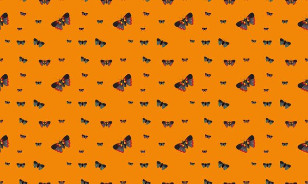 Colored background with different accessories